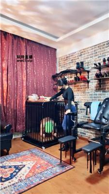 冷颜狗笼囚禁绿帽奴 JS250318-10