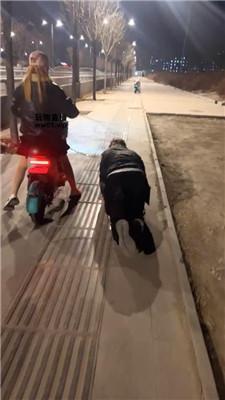 莹莹胆大调教-户外遛狗爬挺远 bf51447