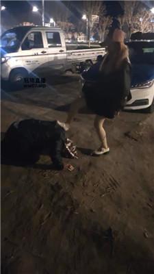 莹莹胆大调教-户外遛狗爬挺远 bf51447