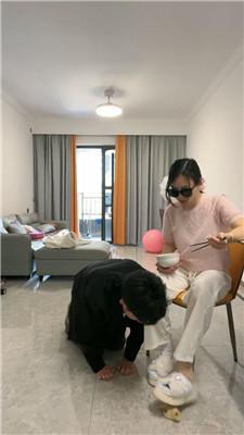 薇薇物化家具奴-伺候主子用餐 JS250322-5