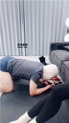 抚兮驯化人体擦鞋器 JS250329-28