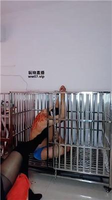 纱月桃囚禁狗笼强制虐 JS250328-35