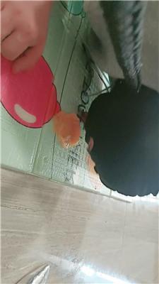 卡罗琳黑丝高跟诱惑-犬化家奴下 JS250331-46