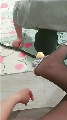 卡罗琳黑丝高跟诱惑-犬化家奴下 JS250331-46