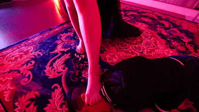 〖H.P.L栖心之栈〗—东京食尸鬼同人剧场：暴踢篇