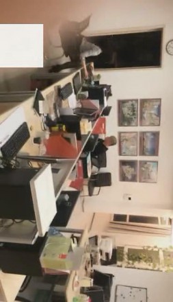 【VIVI】午夜办公室调教足控资源网|爱秀美图