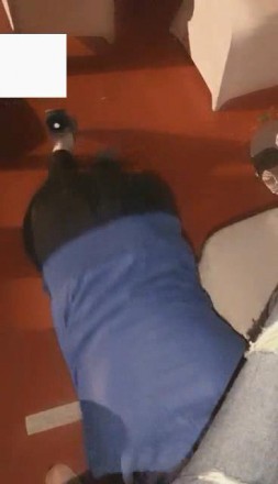 vivi,跨年夜车展遛狗足控资源网|爱秀美图