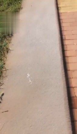 冷柔户外调足控资源网|爱秀美图