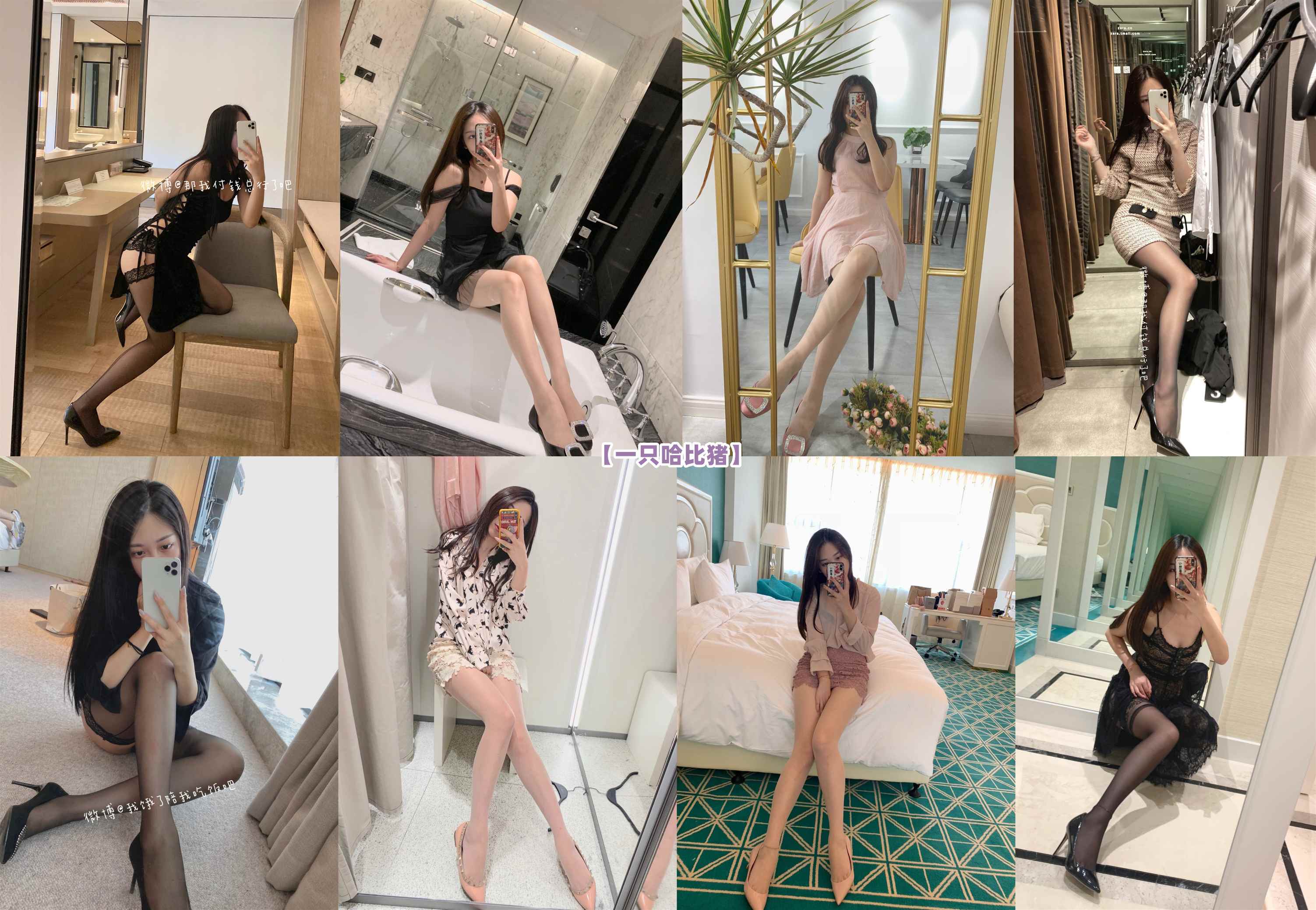 [合集]一只哈比猪[7884P+86V]