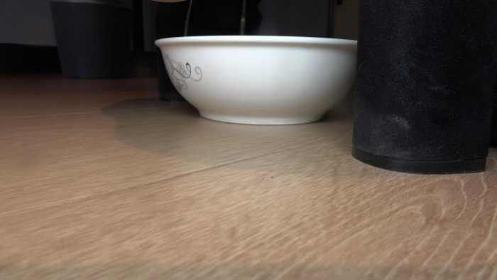 【爱秀套图】【彼岸花】踢踹马奴，圣水香痰米饭 YC-250204-4