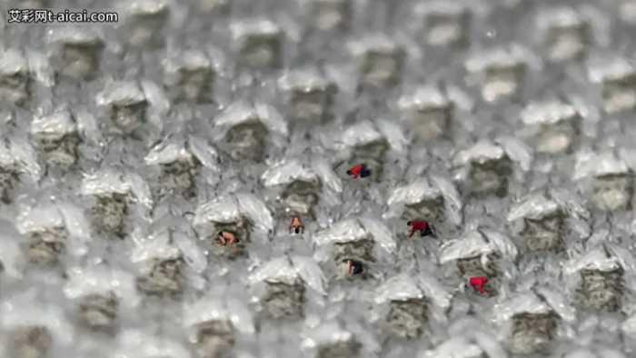 【爱秀套图】芥弥女神の微型产品1 残忍使用小奴隶 JS250329~3