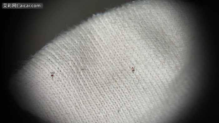 【爱秀套图】芥弥女神の微型产品1 残忍使用小奴隶 JS250329~3