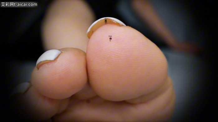 【爱秀套图】芥弥女神の微型产品2 残忍使用消耗小奴隶 JS250330~1