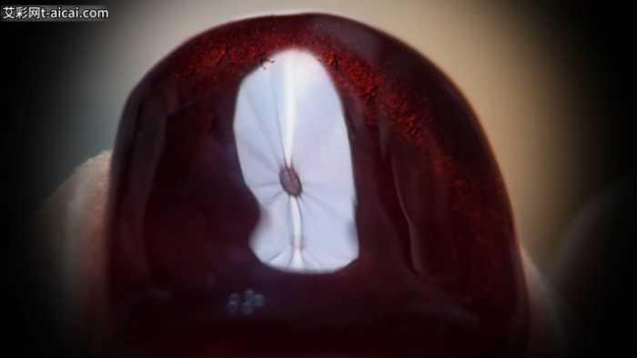 【爱秀套图】芥弥女神の微型产品2 残忍使用消耗小奴隶 JS250330~1