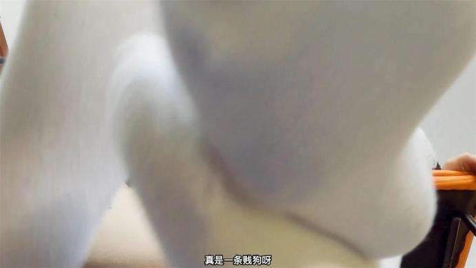 【爱秀套图】【L楽踩踏E】白领们游戏3字幕版 双S全语言臭白棉袜和丝袜踩玩你kjPOV JS250331~2