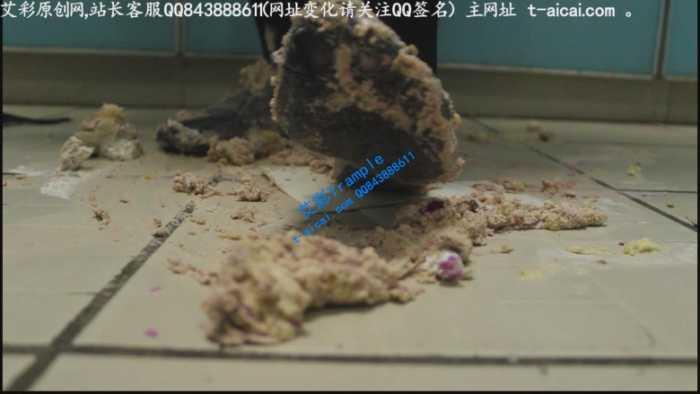 【爱秀套图】哚儿为贱奴制作的美味蛋糕狗粮（侮辱，强迫，特写）YC-190622-4