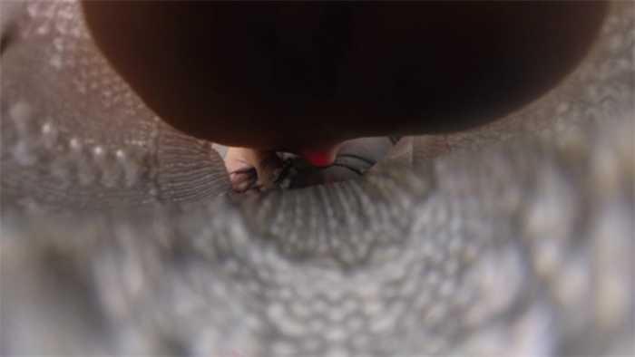 【爱秀套图】【GTS VR】莫瑶女神GTS这么小人入鞋入袜 JS250612~5