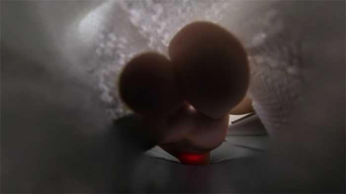 【爱秀套图】【GTS VR】莫瑶女神GTS这么小人入鞋入袜 JS250612~5