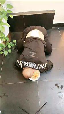 圈养基地驯化犬化圈养实录双视角版 JS241012-12