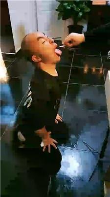 圈养基地驯化犬化圈养实录双视角版 JS241012-12