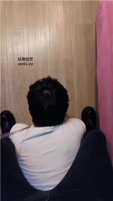 诗诗骑马骑脖/白袜脚蹂躏 bf46539