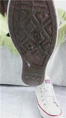 萌宝儿狗儿子的日常训练 JS241030-25