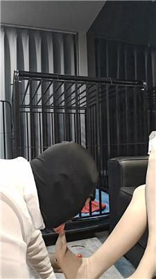 陶拉大人红高跟丝袜恋足调 JS241028-12