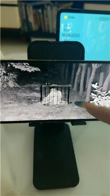 沅芷大人直播聊天让你看看监控里的狗 JS241027-19