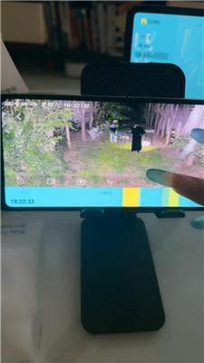 沅芷大人直播聊天让你看看监控里的狗 JS241027-19