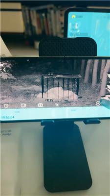 沅芷大人直播聊天让你看看监控里的狗 JS241027-19