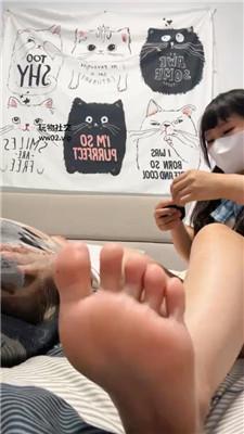 台湾蒂芙尼全包木乃伊狗 bf46242