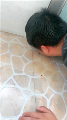 佳佳裸足蹂躏/碾压狗爪/圣水泡面 bf46818