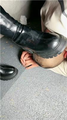 蜜雪户外狗爬犬化/清理脏鞋/白袜窒息 bf46813