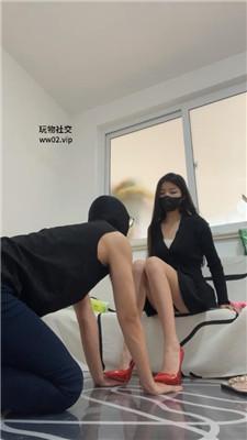 梓晨大大御姐S-玉足诱惑/脚下踩踏喂食 JS241109-16