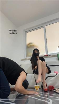 梓晨大大御姐S-玉足诱惑/脚下踩踏喂食 JS241109-16