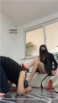 梓晨大大御姐S-玉足诱惑/脚下踩踏喂食 JS241109-16