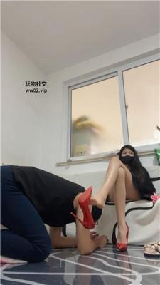 梓晨大大御姐S-玉足诱惑/脚下踩踏喂食 JS241109-16