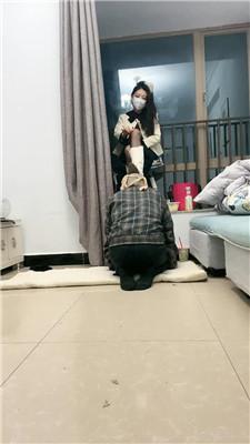 佳佳圈养狗笼/圣水泡面/高跟黑丝踩虐 bf46798