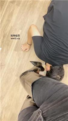 诗诗胯下羞辱-高跟长靴踩踏喂食 JS241104-25