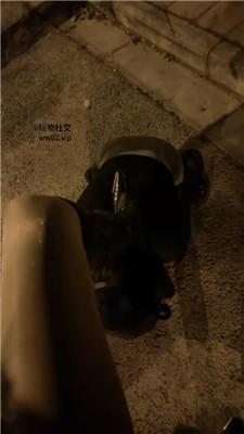 橙宝母畜-户外公开遛狗处刑 bf46609