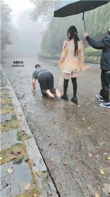 伊晨推荐-双S-雨天户外遛狗犬化 bf47097