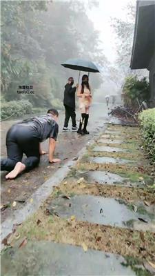 伊晨推荐-双S-雨天户外遛狗犬化 bf47097