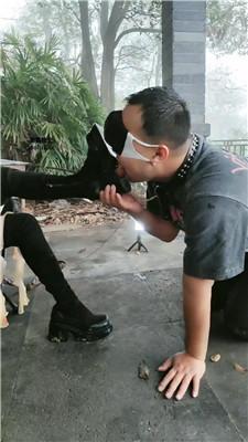 伊晨推荐-双S-雨天户外遛狗犬化 bf47097