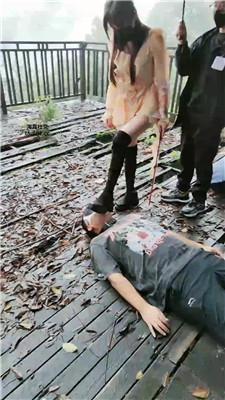 伊晨推荐-双S-雨天户外遛狗犬化 bf47097