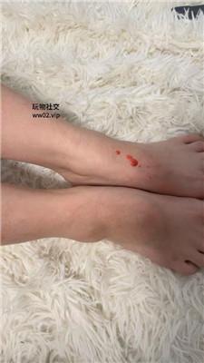 沐沐大大滴蜡惩罚女神犬 JS241115-22