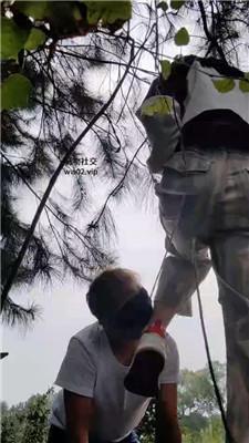 漫音爬山偶遇一条贱奴双视角版 JS241021-1