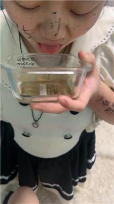 白兔喜欢棉袜的闺蜜犬 bf47262