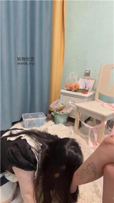 小凤梨下跪伺候纹身小主 JS241120-39