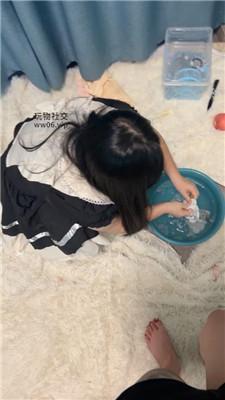 小凤梨纹身小主玩虐闺蜜犬 JS241120-28