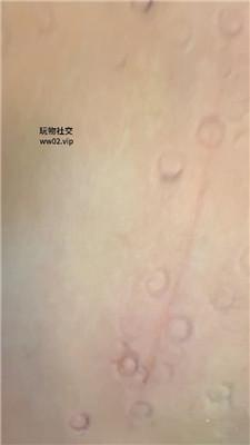 安安sama高跟黑丝踩/转胯狗爬/踩踏喂食 bf47157